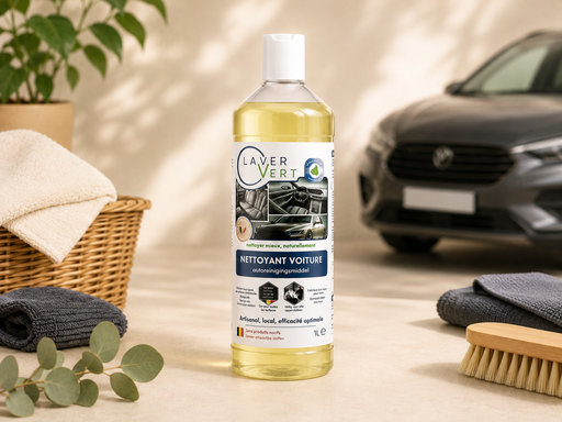 Nettoyant Voiture intérieur-extérieur